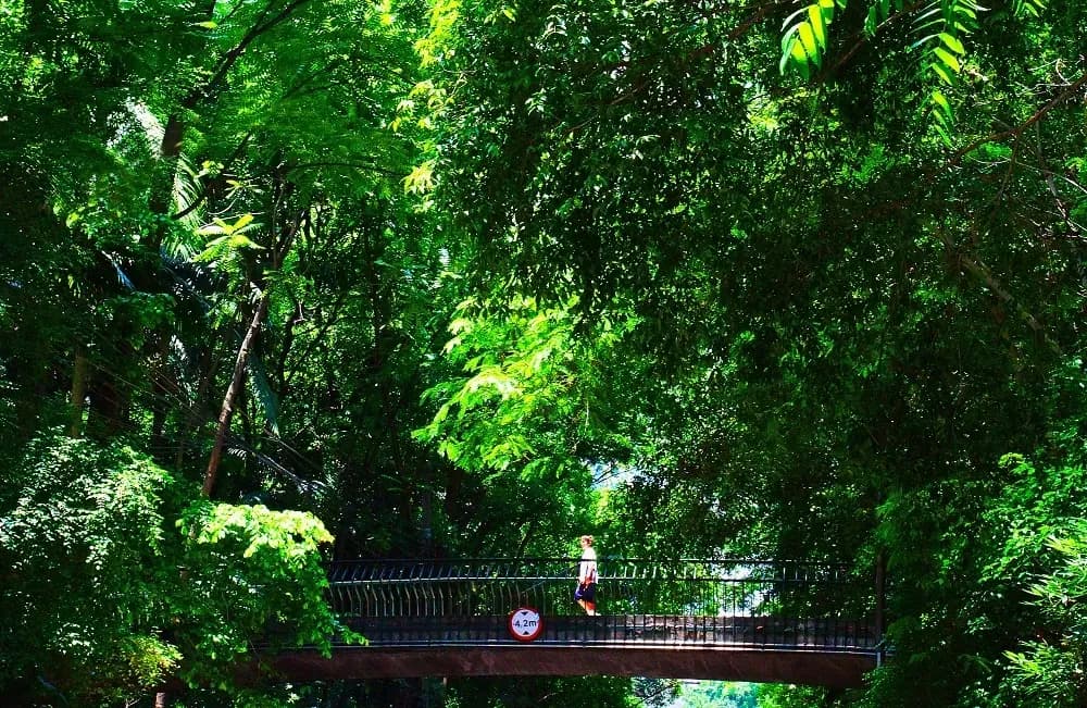 Hotel Trianon Paulista